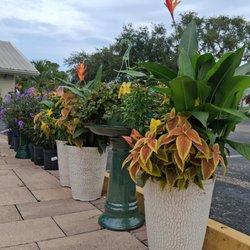 41 Home & Garden Center