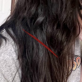 Salon Paloma - Disappointing haircut: choppy, unblended - Hair Stylists Near Me - San Carlos, California