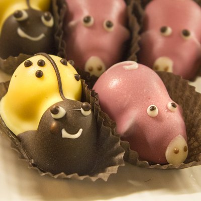 Market of Choice Franklin by null