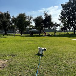 SunDog Therapy