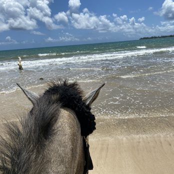 Carabali Rainforest Park - Horseback Riding Near Me - Luquillo, Puerto Rico Carabali Rainforest Park - Horseback Riding Near Me - Luquillo, Puerto Rico