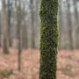 Photo of Reynolds Nature Preserve