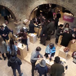 La Terracotta e il Vino