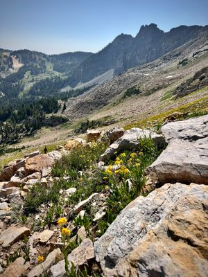 Alta Ski Area by null
