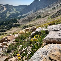 Alta Ski Area