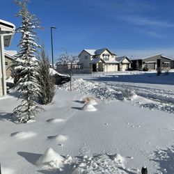 Mariposa Park - Snow. 2024