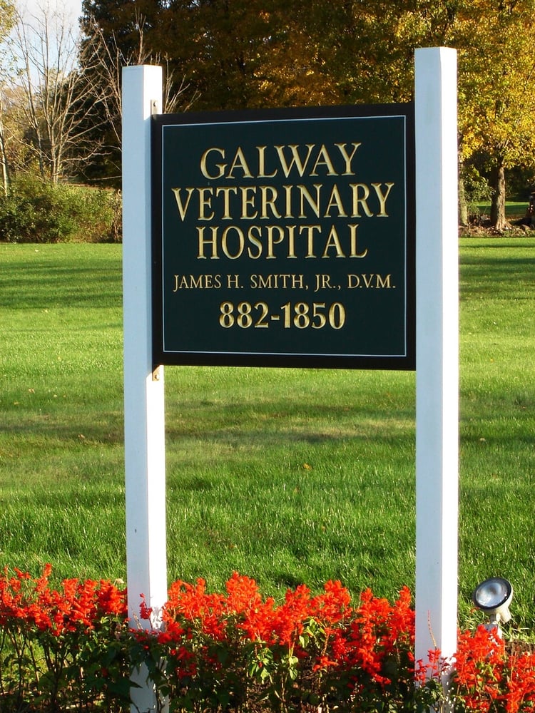 GALWAY VETERINARY HOSPITAL Updated October 2024 5072 Sacandaga Rd