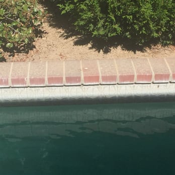 Thomas Pool Tile Services - Before - Pool Cleaners Near Me