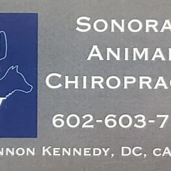 Sonoran Animal Chiropractic - Holistic Animal Care Near Me