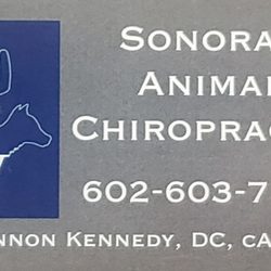 Sonoran Animal Chiropractic