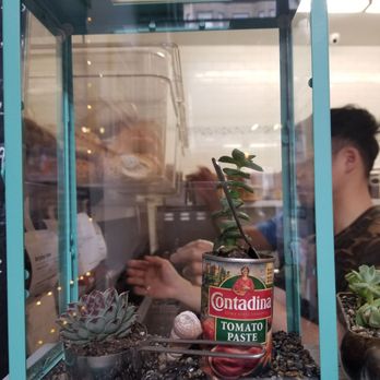 Beanstalk Cafe - I like this planter ;) - Coffee & Tea Near Me - San Francisco, California