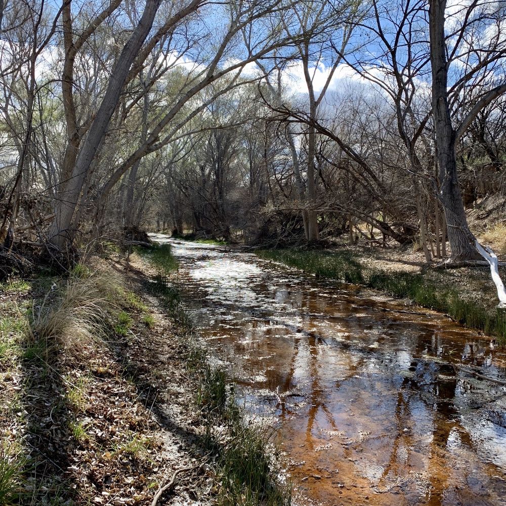 Gabe Zimmerman Davidson Canyon Trailhead - Love it...creek - Hiking Near Me - Vail, Arizona Gabe Zimmerman Davidson Canyon Trailhead - Love it...creek - Hiking Near Me - Vail, Arizona