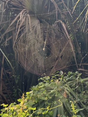 Philippe Park by null