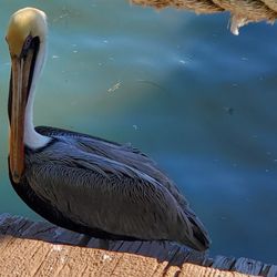Sarasota Bay RV Park