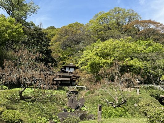 Sankeien Garden by null