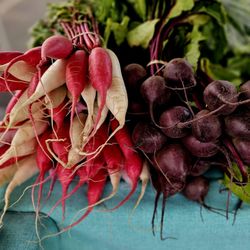 Taos Farmers Market