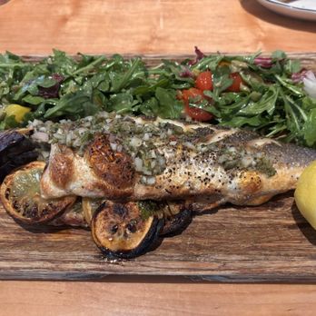 Bar ‘Cino - Whole Roasted Branzino - Bars Near Me - Newport, Rhode Island Bar ‘Cino - Whole Roasted Branzino - Bars Near Me - Newport, Rhode Island
