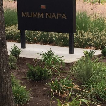 Mumm Napa - Wine Tasting Room Near Me - Rutherford, California