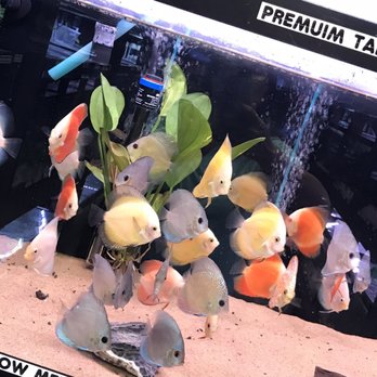 360 Aquatic - Local Fish Stores Near Me - Houston, Texas