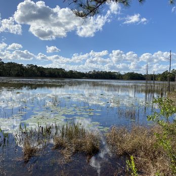 Lake Proctor Wilderness Area - Blue trail - Landmarks & Historical Buildings Near Me - Geneva, Florida Lake Proctor Wilderness Area - Blue trail - Landmarks & Historical Buildings Near Me - Geneva, Florida