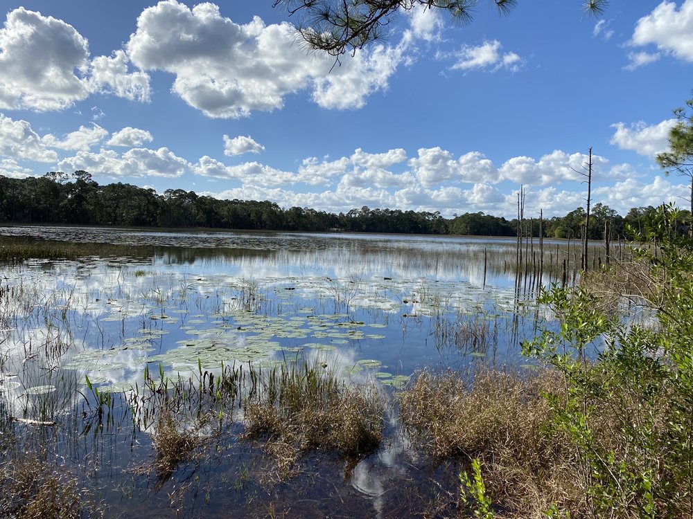 Lake Proctor Wilderness Area Image