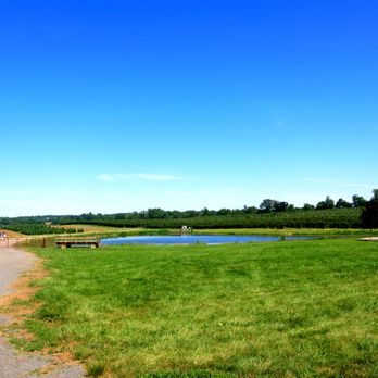 Homestead Farm - Fruits & Veggies Near Me - Poolesville, Maryland