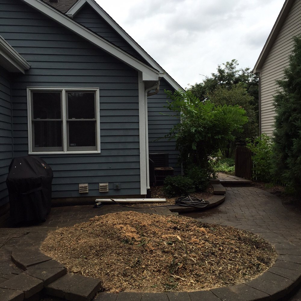 Juan Lopez Tree Service - After - Tree Services Near Me - Aurora, Illinois Juan Lopez Tree Service - After - Tree Services Near Me - Aurora, Illinois