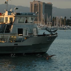Marina Del Rey Sportfishing - Sportfishing New Del Mar