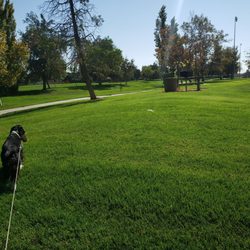 Hall Memorial Park