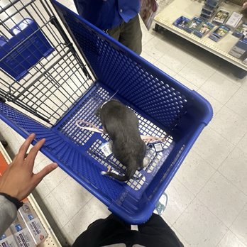 PetSmart - Pet Stores Near Me - Gilroy, California PetSmart - Pet Stores Near Me - Gilroy, California