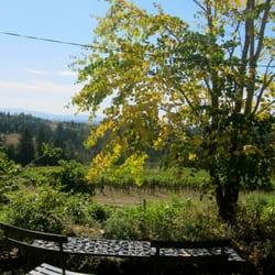 Garden Vineyards - Great views