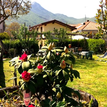 Divina Costiera - Ampio giardino con solarium adiacente alle camere - Bed & Breakfast Near Me - Agerola, NA