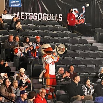 1. San Diego Gulls