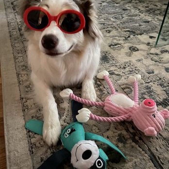 ALDI - Her sunglasses are Aldi! - Grocery Near Me - Omaha, Nebraska