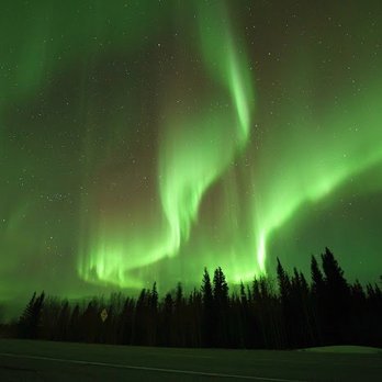 Arctic Night Tours - Tours Near Me