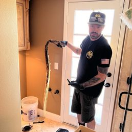 Large root removed under toilet.
