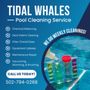 Tidal Whales Pool Cleaning Service