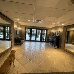 Hotel ZaZa Houston Museum District - Lobby heading to pool area