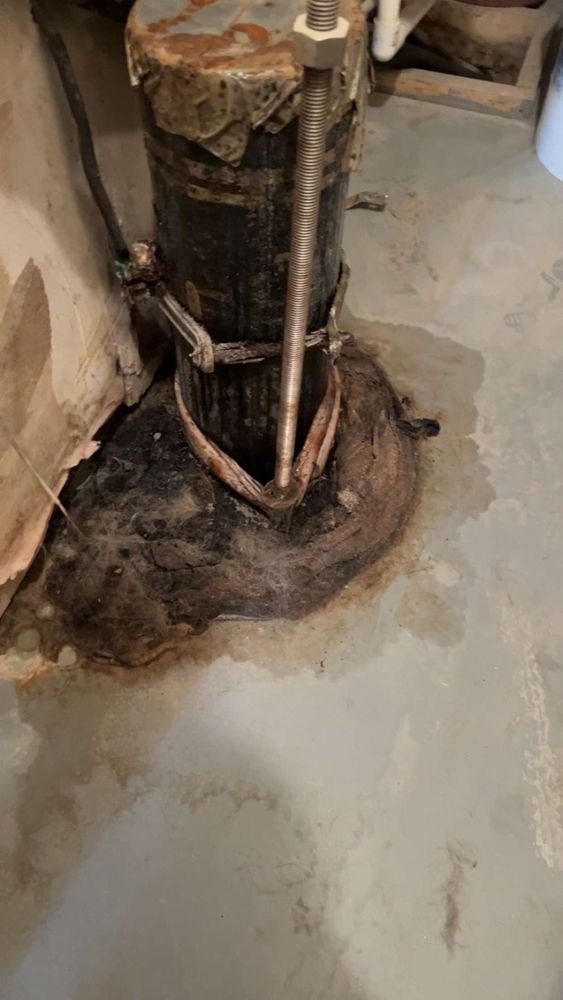 FURNFEATHERS PET SPA Updated August 2024 273 Derry Rd, Litchfield, New Hampshire Pet