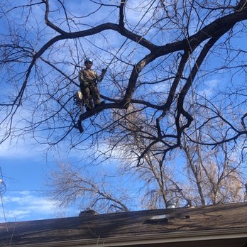 A Noble Tree Company - Tree Services Near Me - Mobile, Alabama