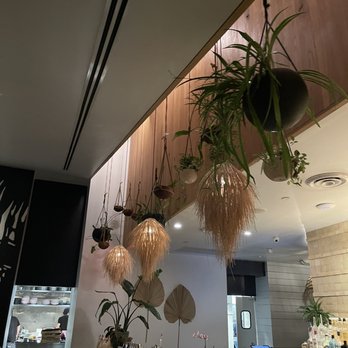 Canje - Bar area - Caribbean Near Me - Austin, Texas Canje - Bar area - Caribbean Near Me - Austin, Texas