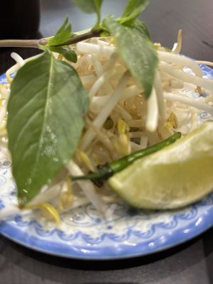 Pho XL