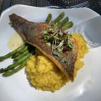 Harvest - Saffron rice with seared Bronzino - Wine Bars Near Me - New Haven, Connecticut Harvest - Saffron rice with seared Bronzino - Wine Bars Near Me - New Haven, Connecticut