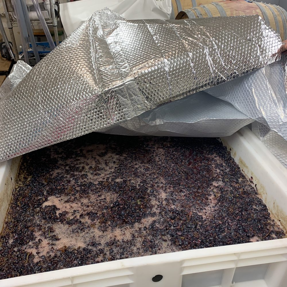 Correcaminos Vineyard - Grapes that had just been harvested ready to start doing their "magic". - Wineries Near Me - Ramona, California Correcaminos Vineyard - Grapes that had just been harvested ready to start doing their "magic". - Wineries Near Me - Ramona, California