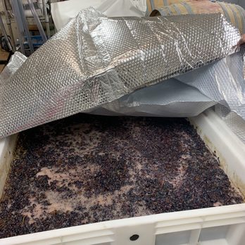 Correcaminos Vineyard - Grapes that had just been harvested ready to start doing their "magic". - Wineries Near Me - Ramona, California Correcaminos Vineyard - Grapes that had just been harvested ready to start doing their "magic". - Wineries Near Me - Ramona, California