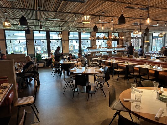 Superica Dunwoody by null