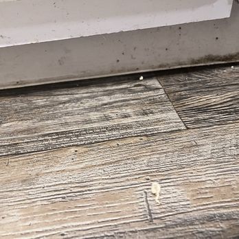 Saratoga Ridge - Shitty baseboards - Apartments Near Me - Phoenix, Arizona Saratoga Ridge - Shitty baseboards - Apartments Near Me - Phoenix, Arizona