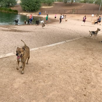 Cosmo Dog Park - There are also tables and benches to sit down that isn't shown - Dog Parks Near Me - Gilbert, Arizona