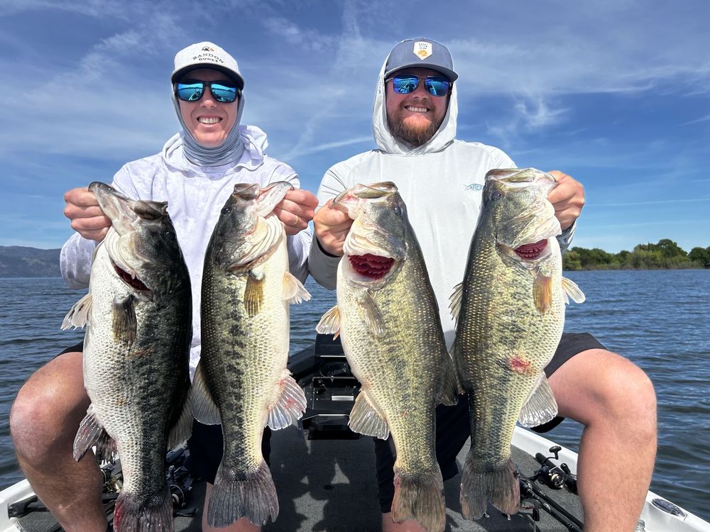 Live Fast Movement Outdoors Logo