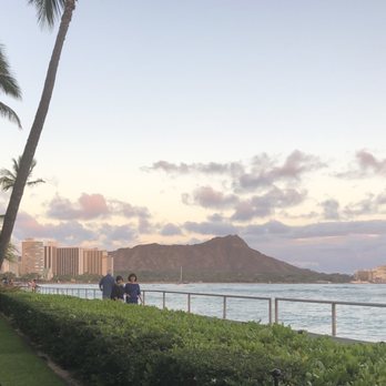 Orchids - View from front lawn facing Diamond Head to the south-east - Breakfast & Brunch Near Me - Honolulu, Hawaii